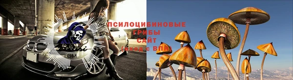 индика Осташков