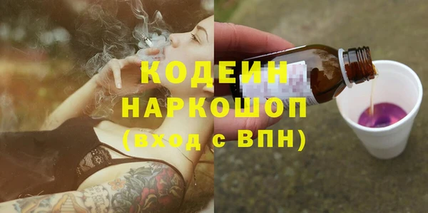 бошки Няндома