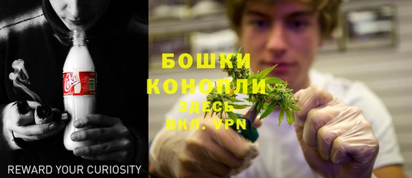шишки Нягань