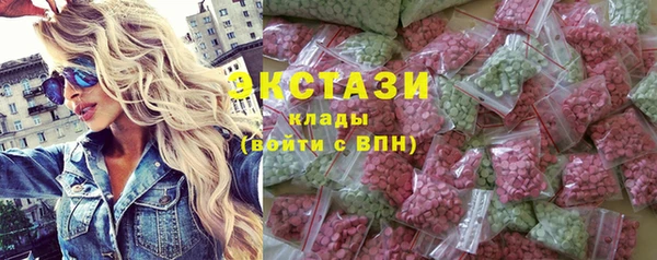 индика Осташков