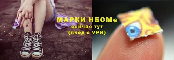 бошки Няндома