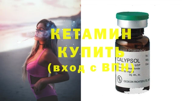 индика Осташков