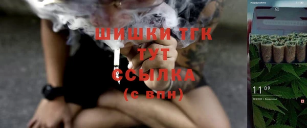 шишки Нягань