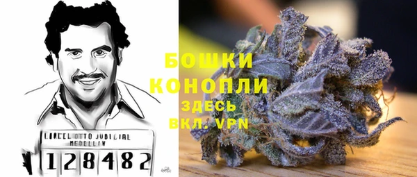 бошки Няндома