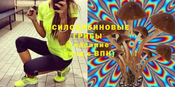 дживик Нязепетровск